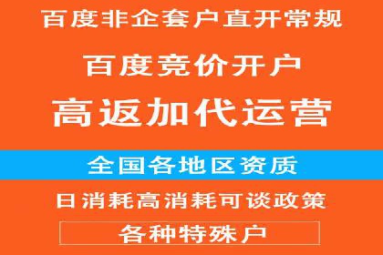 百度推广公司：成功案例解析